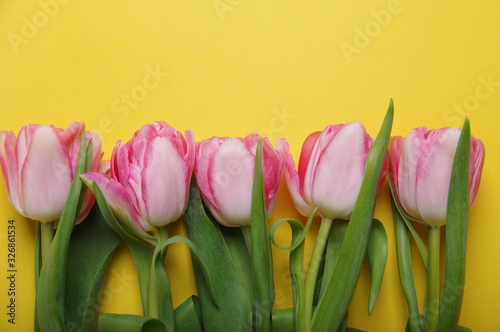 Yellow red tulips bouquet on black background