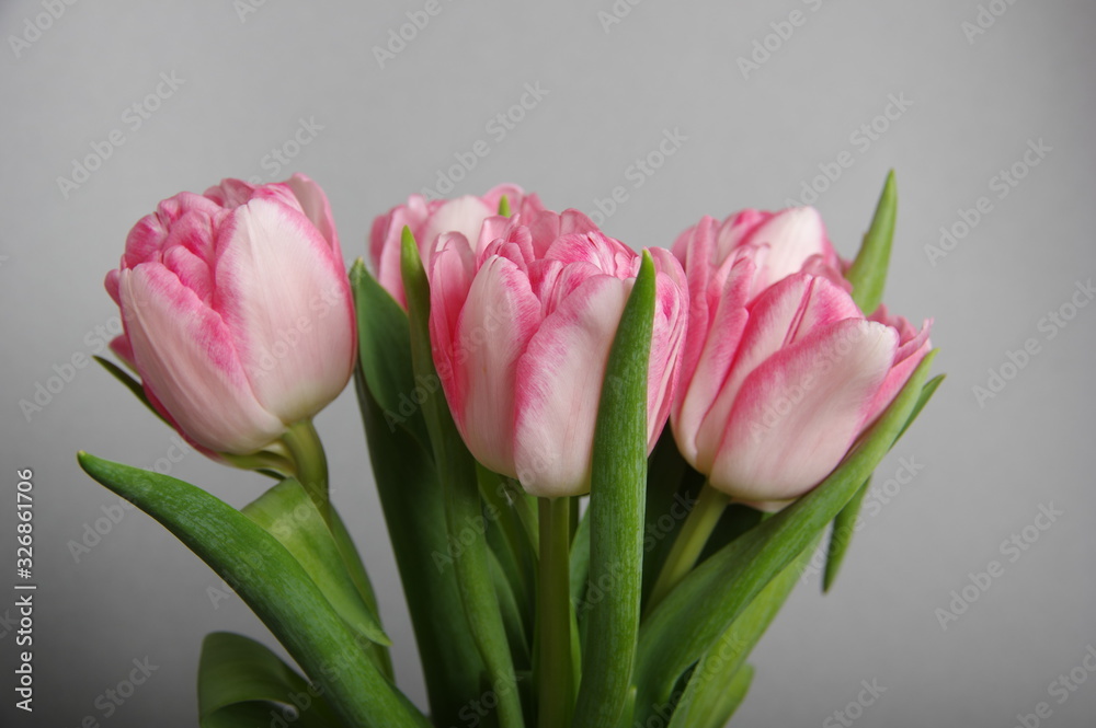 Obraz premium Yellow red tulips bouquet on gray background