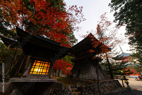 灯のついた寺の灯籠と紅葉 © sigmaphoto