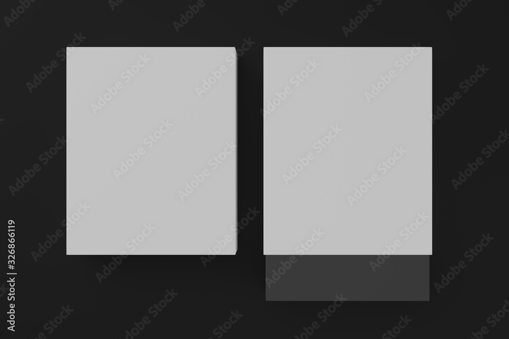 two blank packages isolated on white background. 3d illustration