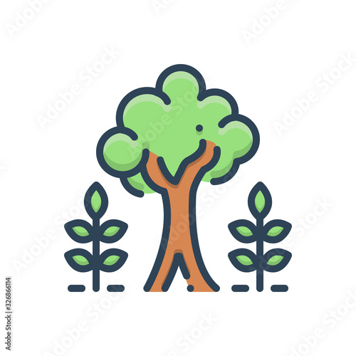 Color illustration icon for maturity 