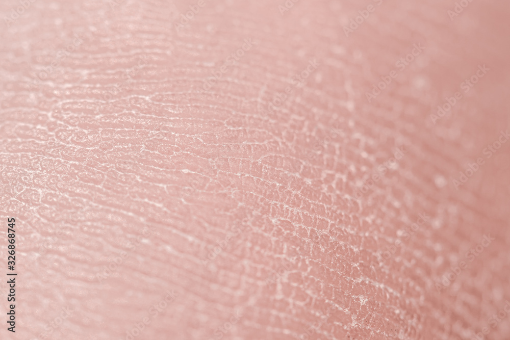 Fototapeta premium Human skin. Macro photo. Close up.
