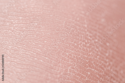 Human skin. Macro photo. Close up.