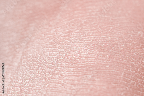 Human skin. Macro photo. Close up.