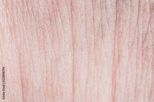 Human skin. Macro photo. Close up.