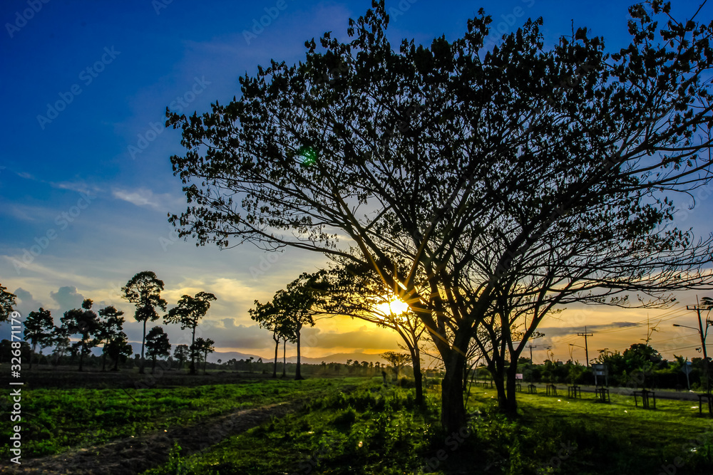 blurry nature background of a temporary shelter,created to reside in the garden or relax while traveling