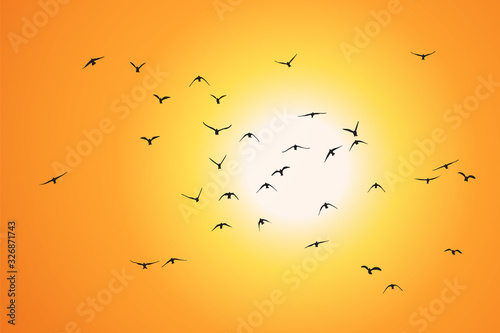 silhouette of a flock of flying birds