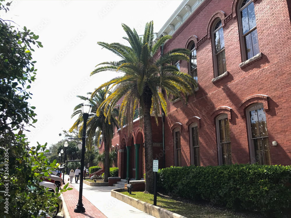 street in old town palm trees