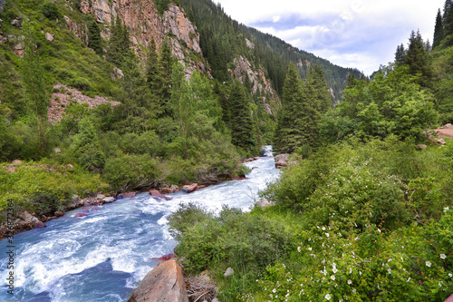 mountain river in Kyrgyzstan . A stormy river with blue clear water flows between mountains and rocks covered with green forest.