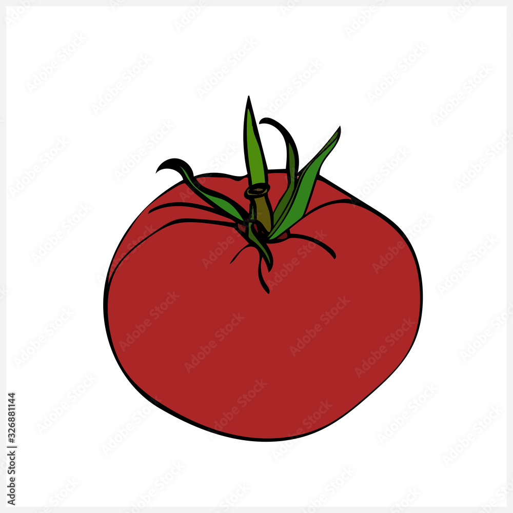 Sketch of tomato.Black and white graphics.Vector Sketch of tomato.Black and white graphics.Vector