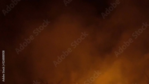 Forest fire, several hectares of pine trees burned during the dry season in June photo