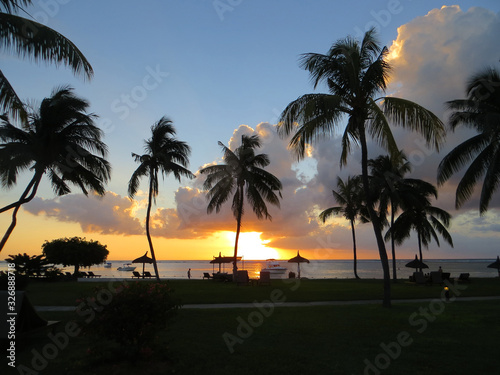 tropical sea sunset with palm silhouettes
