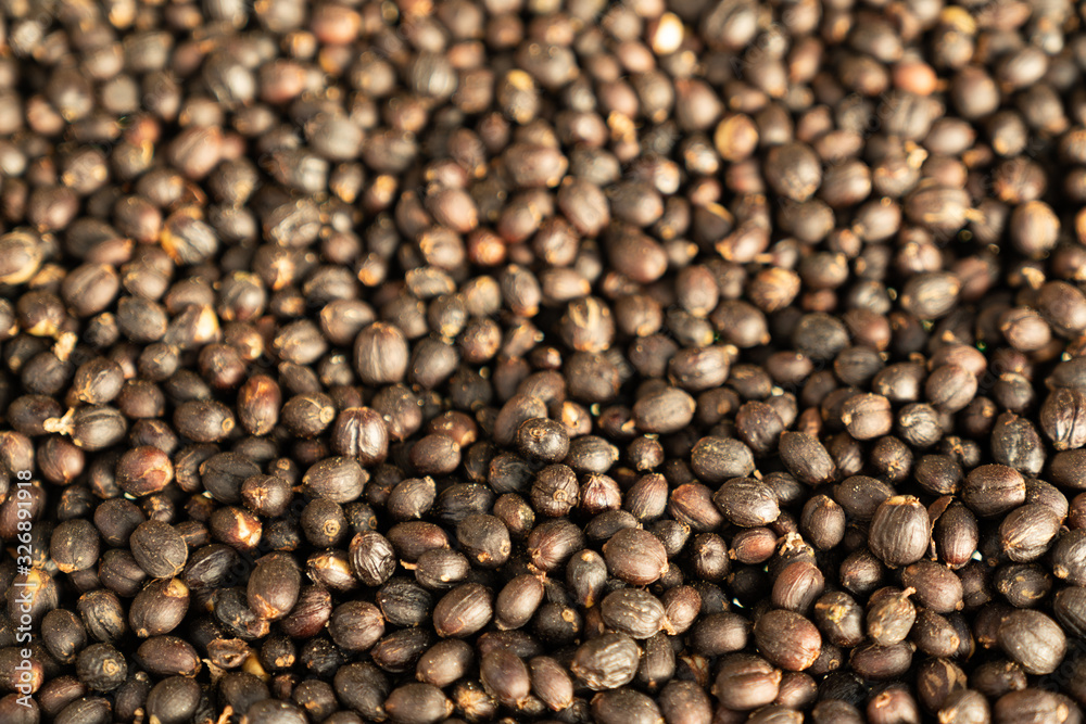 Red berries raw coffee beans with shell in dry process in tray preparing for coffee roaster in factory Red berries raw coffee beans with shell in dry process in tray preparing for coffee roaster in factory