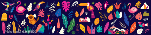 Animals big collection. Animals of Brazil. Vector colorful set of  illustrati...