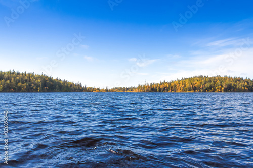 Fototapeta Naklejka Na Ścianę i Meble -  Blue sky and dark blue water of the forest lake on windy day