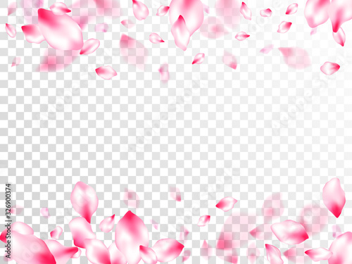 Fototapeta Naklejka Na Ścianę i Meble -  Japanese cherry blossom pink flying petals