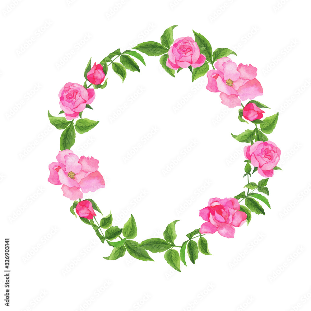 Beautiful garden rose flowers and leaves wreath isolated on white background. Hand drawn watercolor illustration.