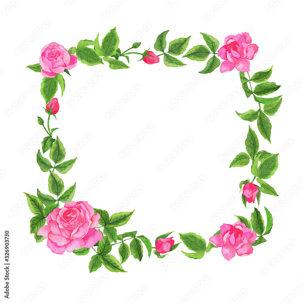 Beautiful garden rose flowers and leaves frame isolated on white background. Hand drawn watercolor illustration.