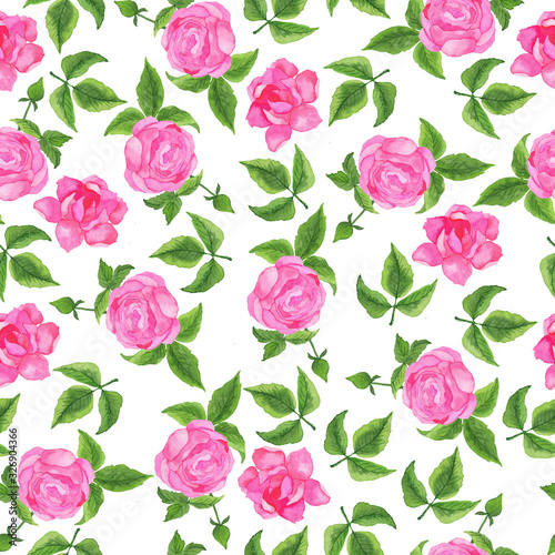 Seamless pattern with pink garden roses on white background. Hand drawn watercolor illustration.