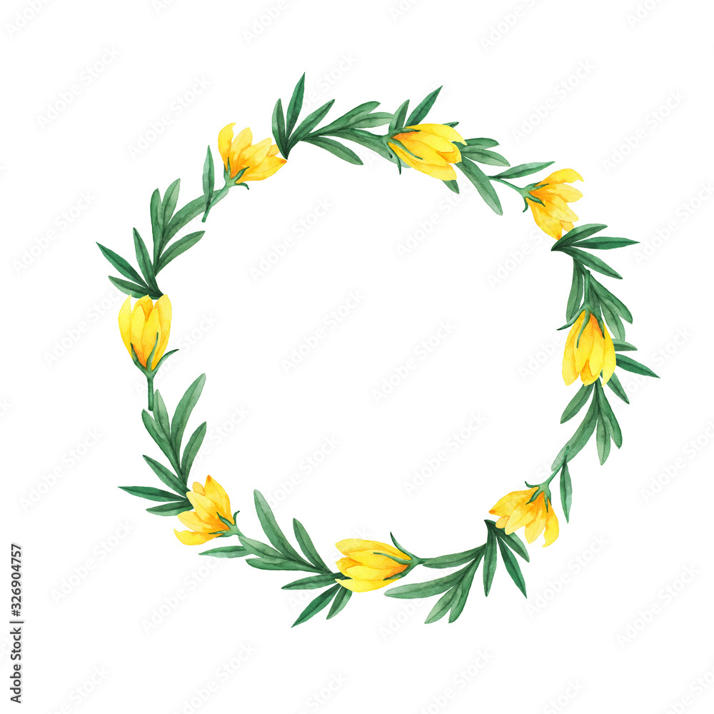 Spring yellow crocus flowers and green leaves round frame isolated on white background. Hand drawn watercolor illustration.
