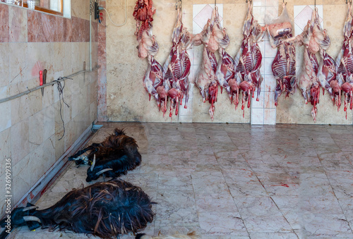 Canvas Print Slaughter house with appliance and slaughtering goat animal.