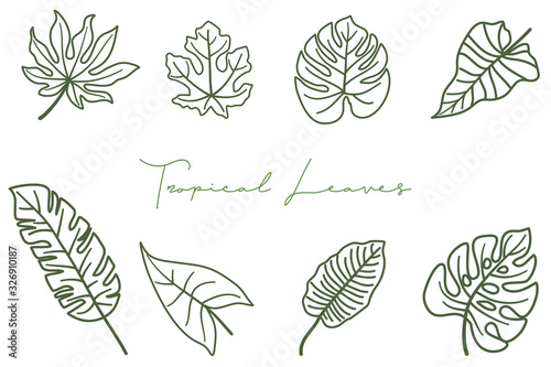 Line art Tropical leaves collection. Vector isolated elements on the white background.