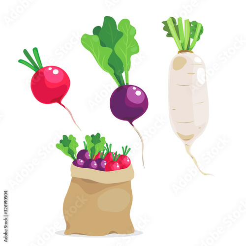 Colorful fresh radish and bag of radish.