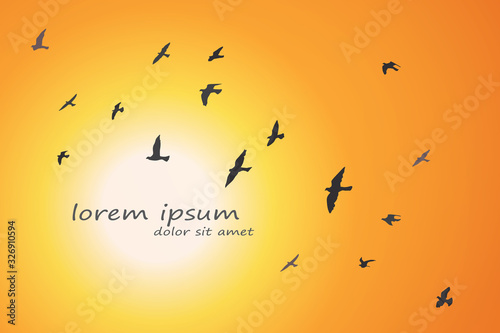 silhouette of a flock of flying birds