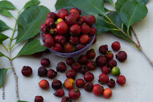 Fruit of the araçazeiro, the araçá the pulp, acidic, has mineral salts and vitamin C.