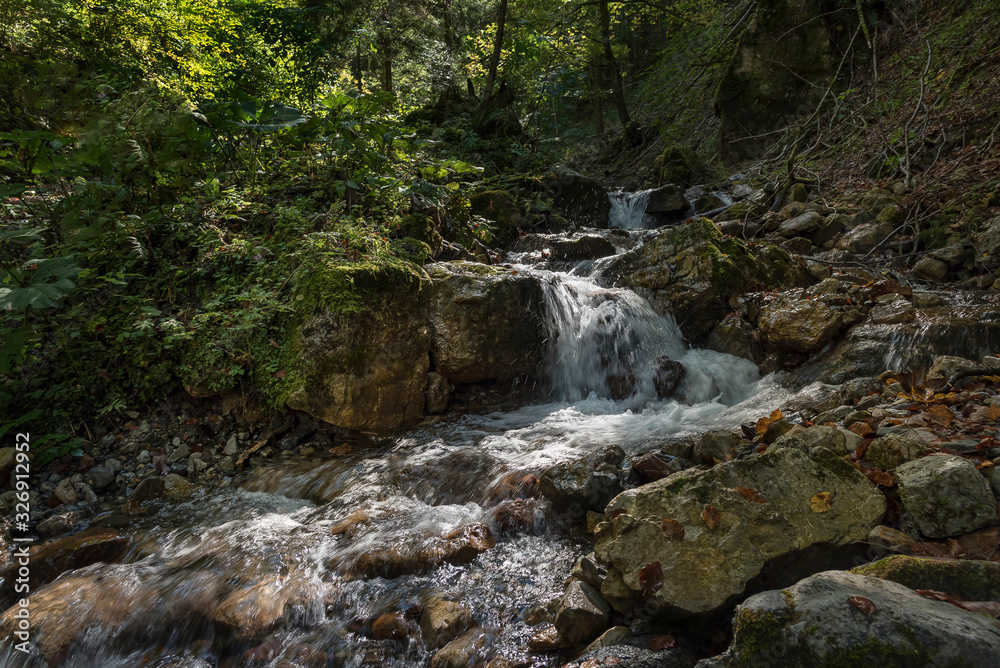 Bach im Wald Bach im Wald