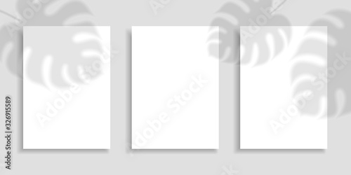 Shadow overlay effect palm leaves. Set A4 paper sheets with transparent shadows leaves. Collection mockups on gray background. Vector illustration for design cards, brochures, covers, banners, blanks.