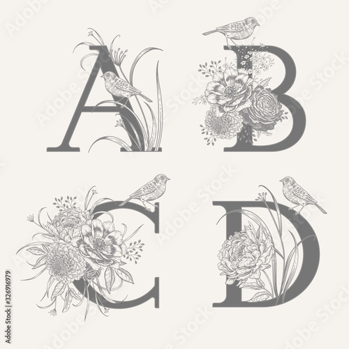 Set of decorations with letters A B C D, decorative herbs, peonies flowers and birds.