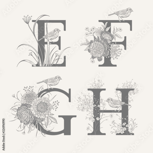 Set of decorations with letters E F G H, decorative herbs, peonies flowers and birds.