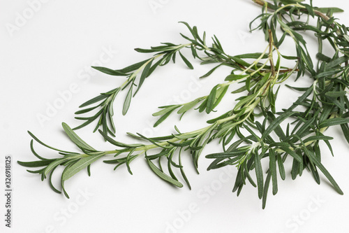 Sprig of rosemary on white background  close up  flat lay