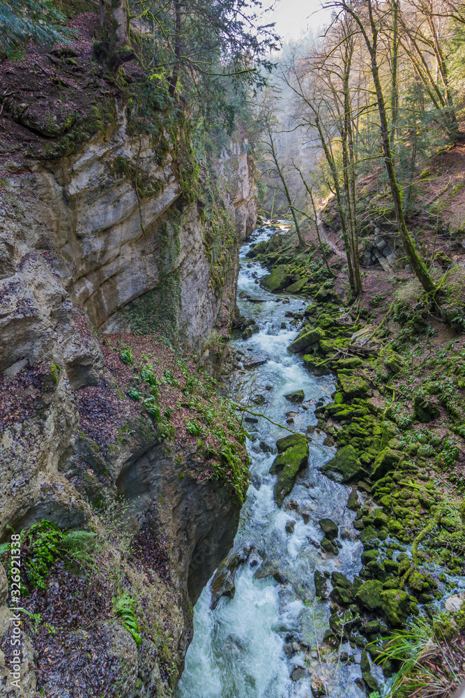 Gorge of Areuse stream in Switzerland, forest Gorge of Areuse stream in Switzerland, forest