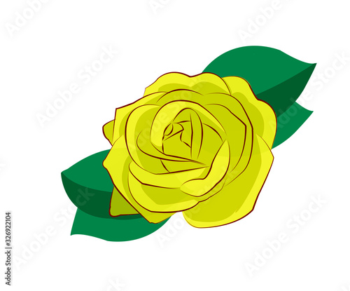 Drawing of Yellow rose for anniversary greeting cards and invitations , photo