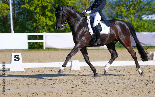 A dressage horse with rider during a class M test in the trot gait with extended left leg, black horse with rider in the gathered trot.. © RD-Fotografie