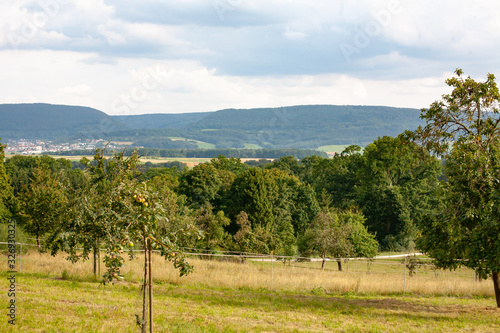streuobstwiese mit weide und weitblick im ostalbkreis baden-württemberg deutschland