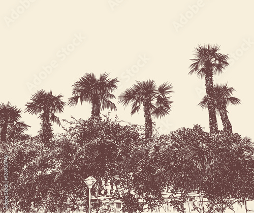 Photography Resort landscape with palm trees. vector illustration