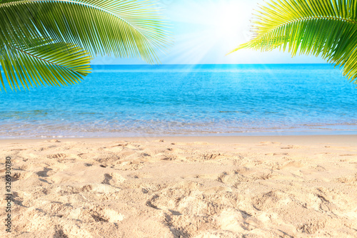 Fototapeta Naklejka Na Ścianę i Meble -  Tropical sea beach with sand, ocean, palm leaves and blue sky