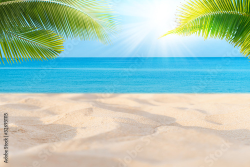 Tropical sea beach with sand, ocean, palm leaves and blue sky