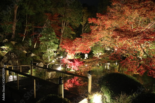 Night-time Autumn Leaf at Konkaikomyo-ji(Kurodani) Temple, Kyoto, Japan photo