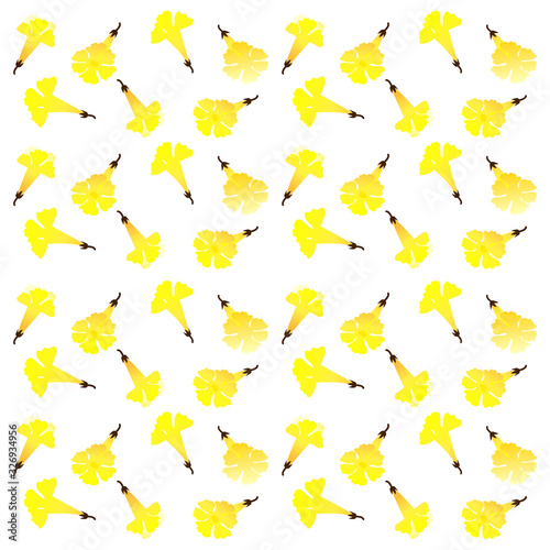 autumn yellow flower background