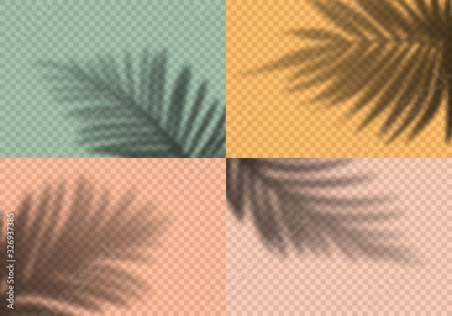 Vector Set of Transparent Shadows of Palm Leaves. Decorative Design Elements for Collages. Creative Overlay Effect