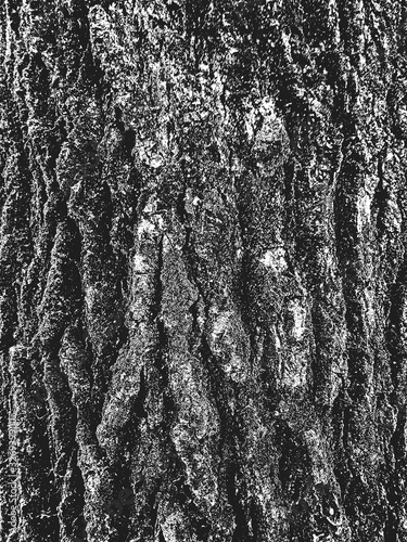 Distress old dry wooden texture. Black and white grunge background. Vector illustration