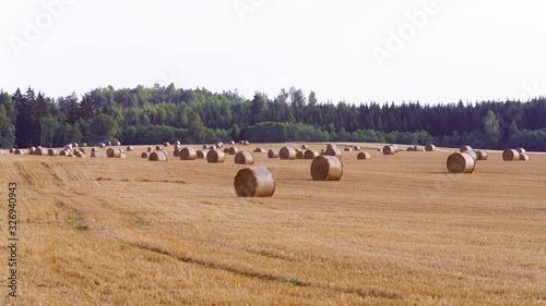 rural landscape with hay rolls. a brown field, a hill and a forest at the back