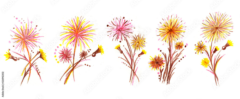 Summer flower dandelion. Pencil illustration. Summer flower dandelion. Pencil illustration.