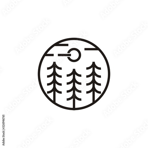 Illustration abstract modern evergreen pine hemlock spruce cedar cypress forest tree vintage line art logo design 
