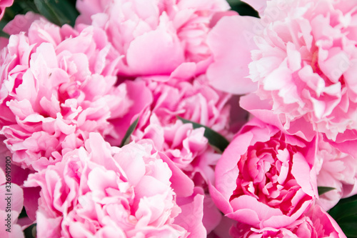 Fototapeta Naklejka Na Ścianę i Meble -  Natural holiday wallpaper background. A lot of beautiful pink peonies bouquet, close shot. Delicate flower petals. Spring