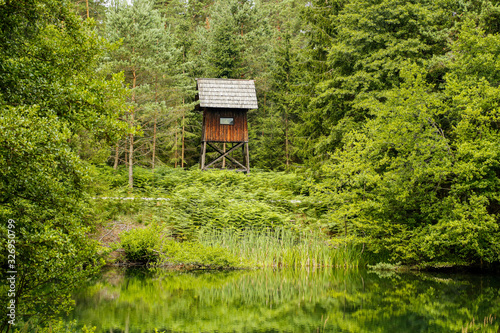 Old watch tower next to a lake in a forest